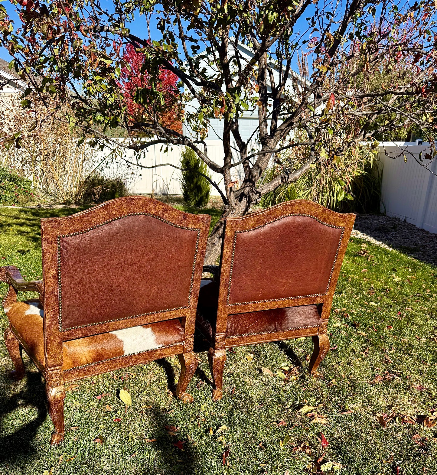 Cowhide and Pendleton Chairs