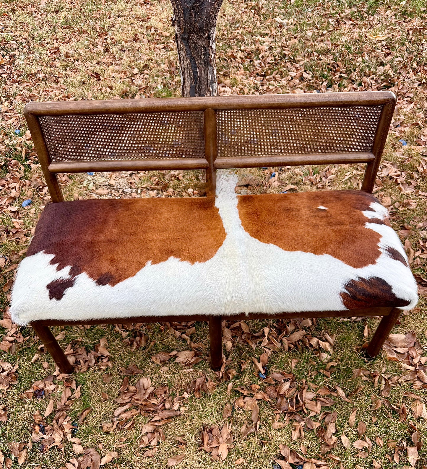 Cowhide and Cane Accent Bench